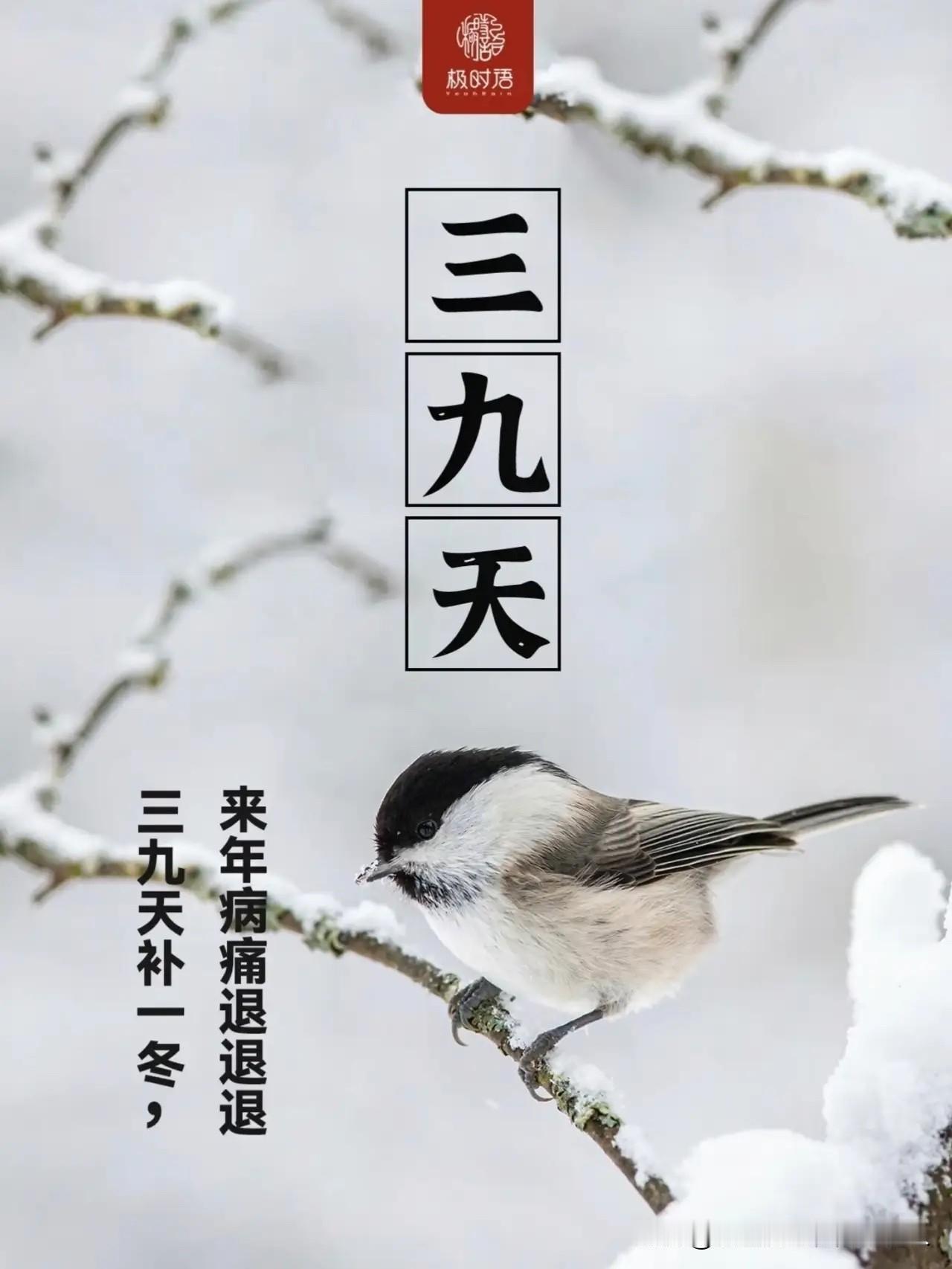 明天开始，就正式进入“三九天”了！今年的三九有点不一样，因为它完全落在了“冬月”