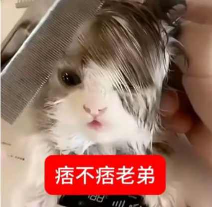 疼死我了啊啊啊啊啊 