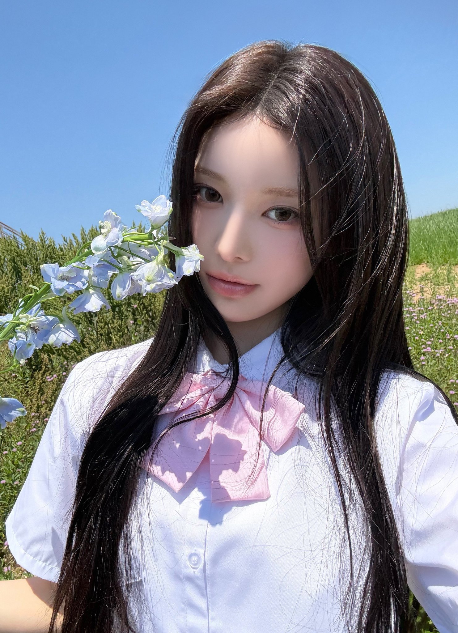 🌸 ​​​