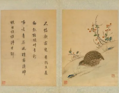 《韩希孟宋元名迹册·鹑鸟图》