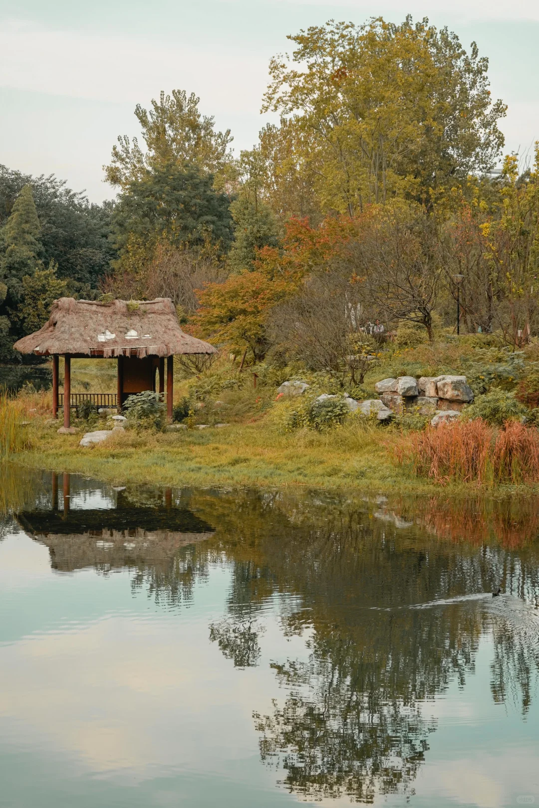 成都.适合一个人闲逛的100个地方（14/100）