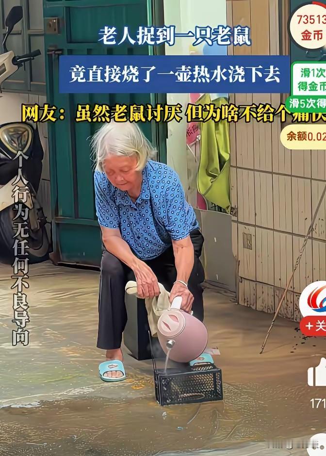 老人用捉鼠笼抓到一只活老鼠，她没有立刻把老鼠直接打死，而是烧了一壶水，把开水直接