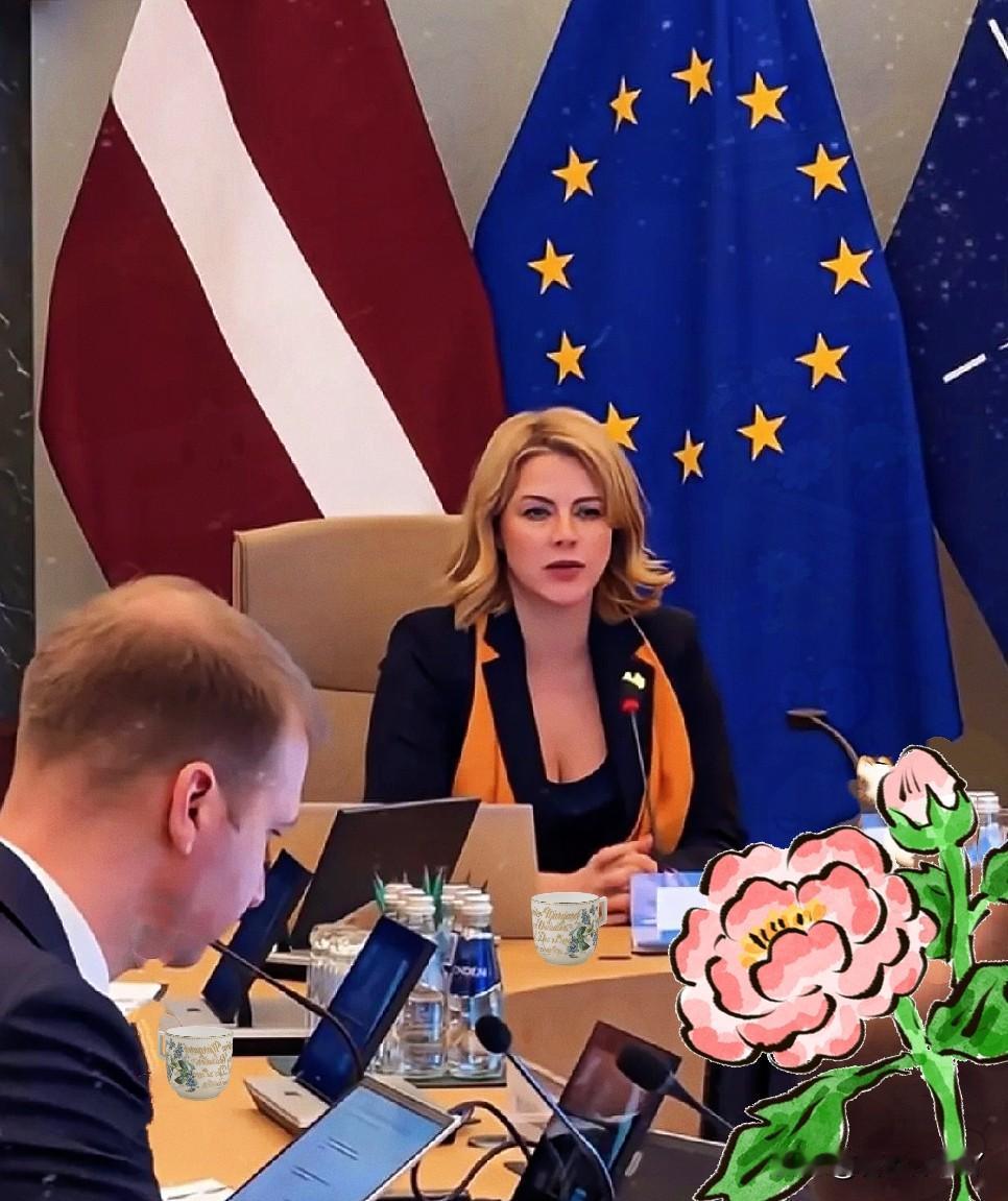 国家不大，胆子不小！

联合国安理会又爆大瓜，
拉脱维亚在安理会就中东局势停火决