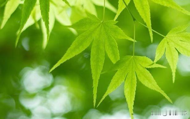所谓父女一场，就是我变老，你长大，从此离多聚少，每次分别，不管是在家门口，还是在