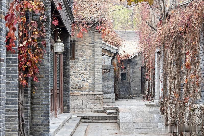 秋日生活打卡季 北京的秋天真的是短暂又金贵，刚从三十多度的闷热里挣脱出来，一阵清