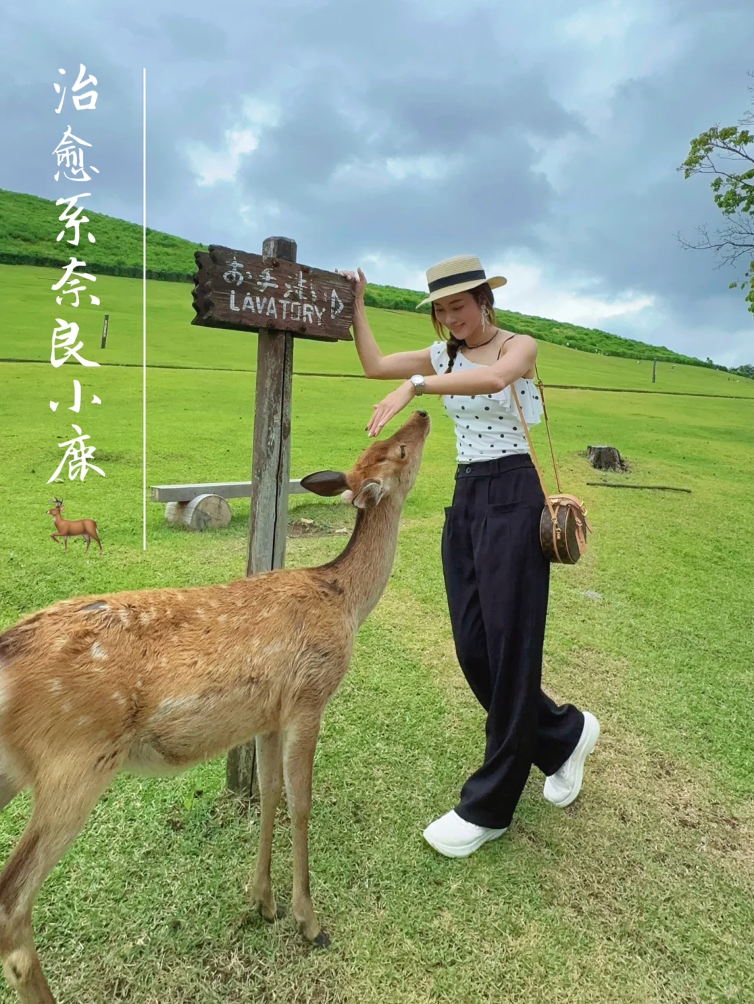 🇯🇵真的会鞠躬的奈良小鹿🦌松弛版一日游