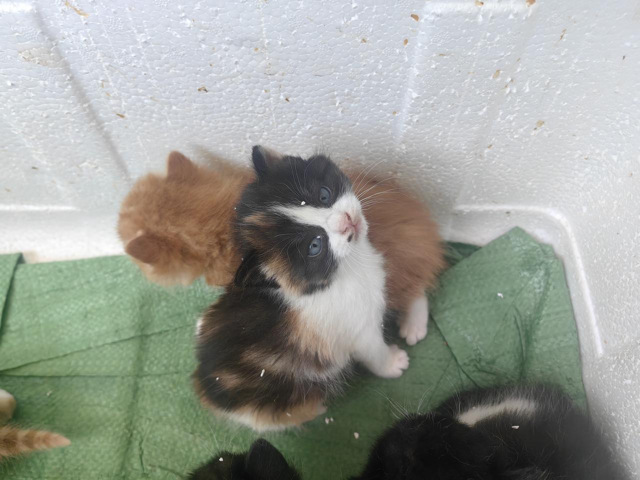 张雪峰这一席话，真是扎了
无数家长的心窝：
“不管孩子多不争气，
多叛逆，多不靠