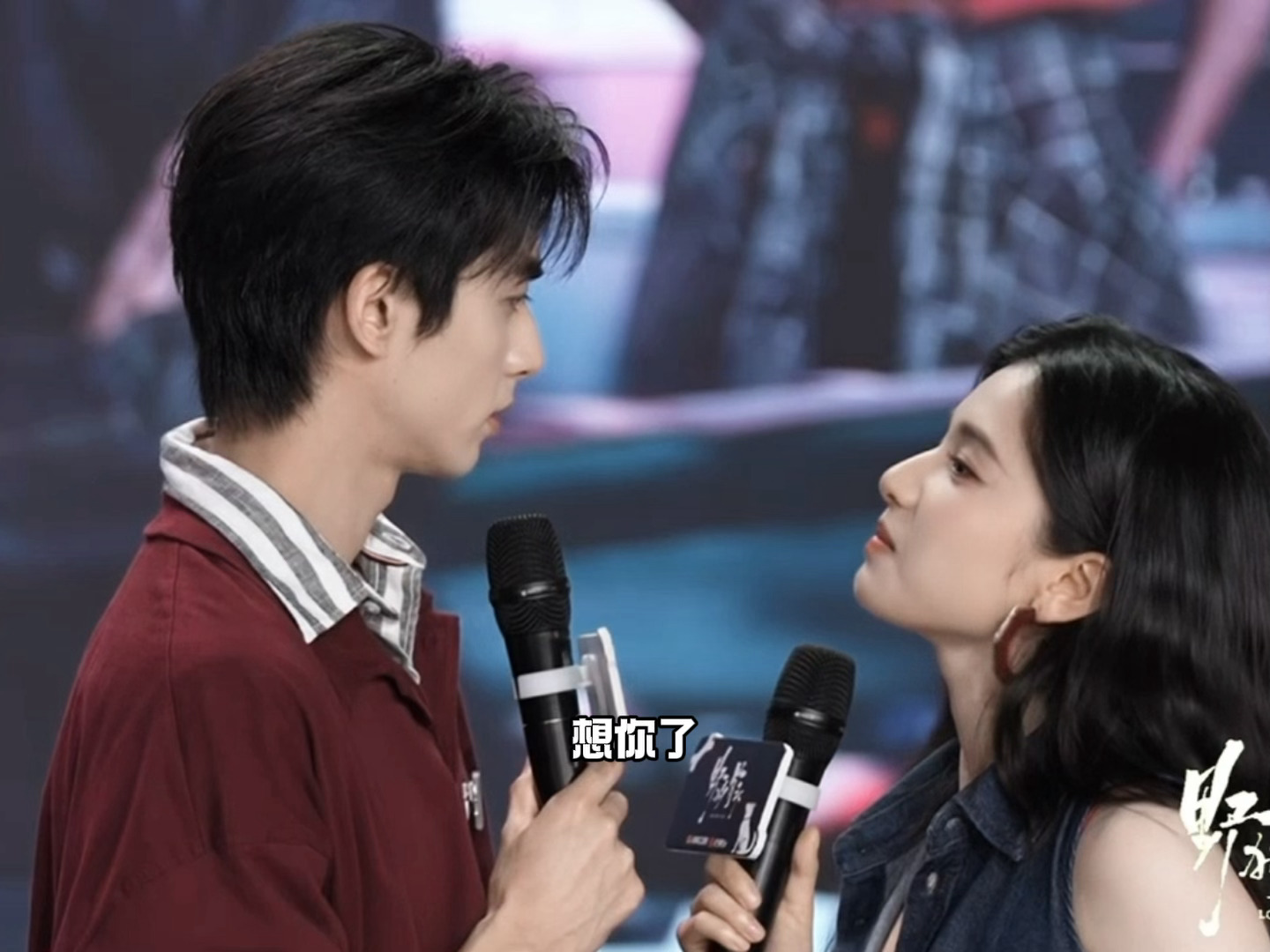 “想你了”“我也是”你俩咋回事。。。。我不行了。。。野狗骨头开播首映礼野狗骨头开