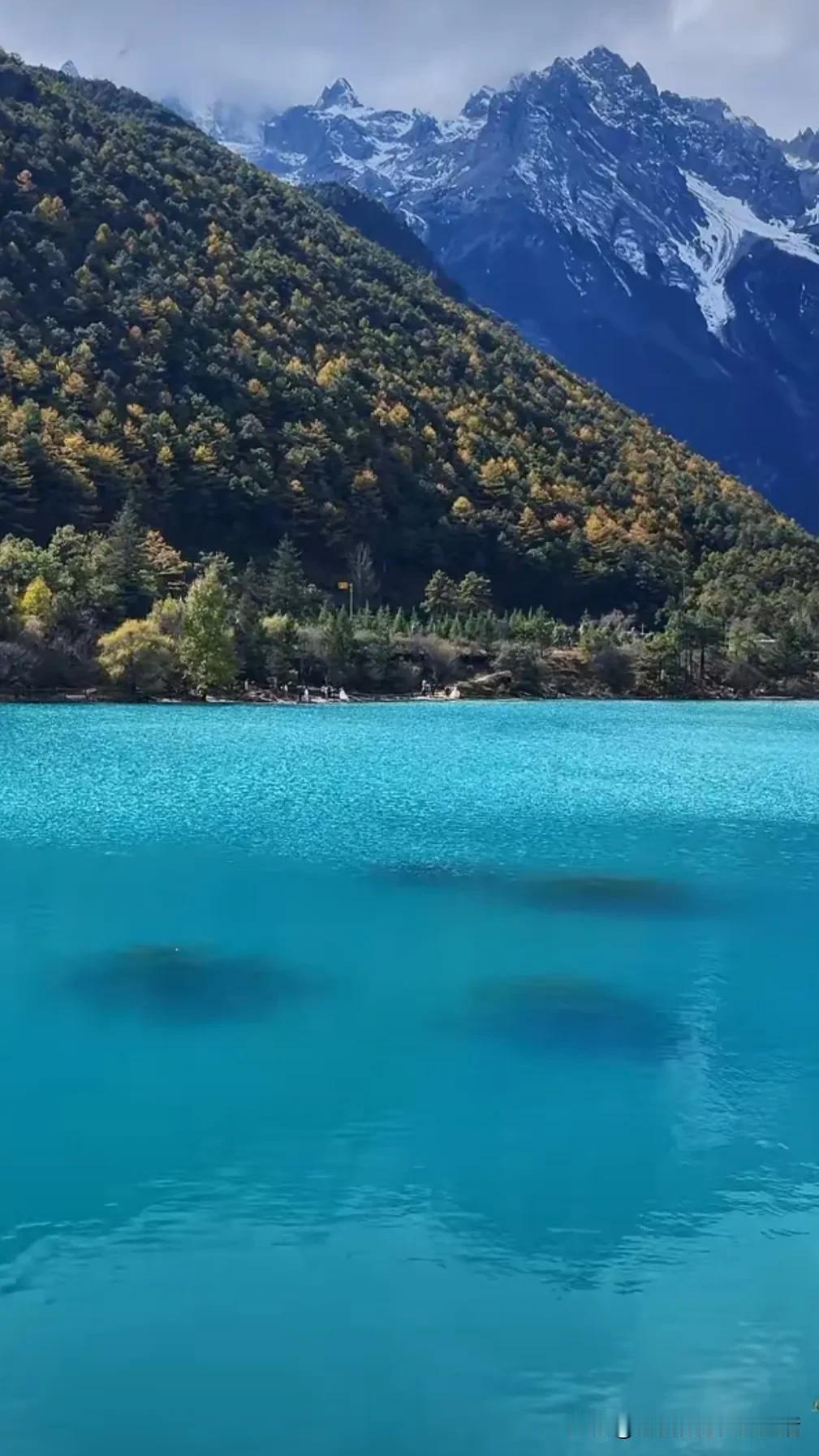 冬湖下美景 湖边美景🌊 风景如画，片影 日山水间，碧湖映彩林，人间仙境！