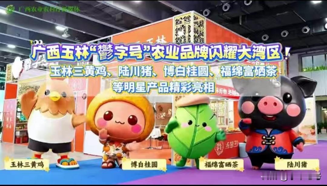 有些人的刻板印象挺深刻，思想观念也挺固化的，比如一提到广西，就觉得广西修路修航道