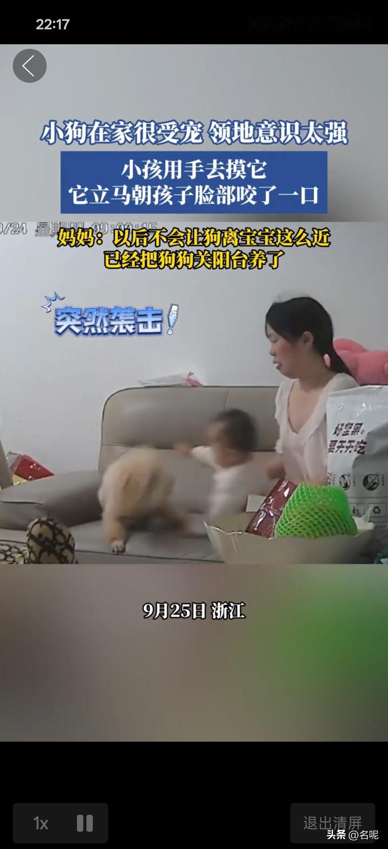 理解不了这妈，都咬娃了，还继续养狗！

浙江，外婆带宝宝在沙发玩，宝宝好奇用手摸