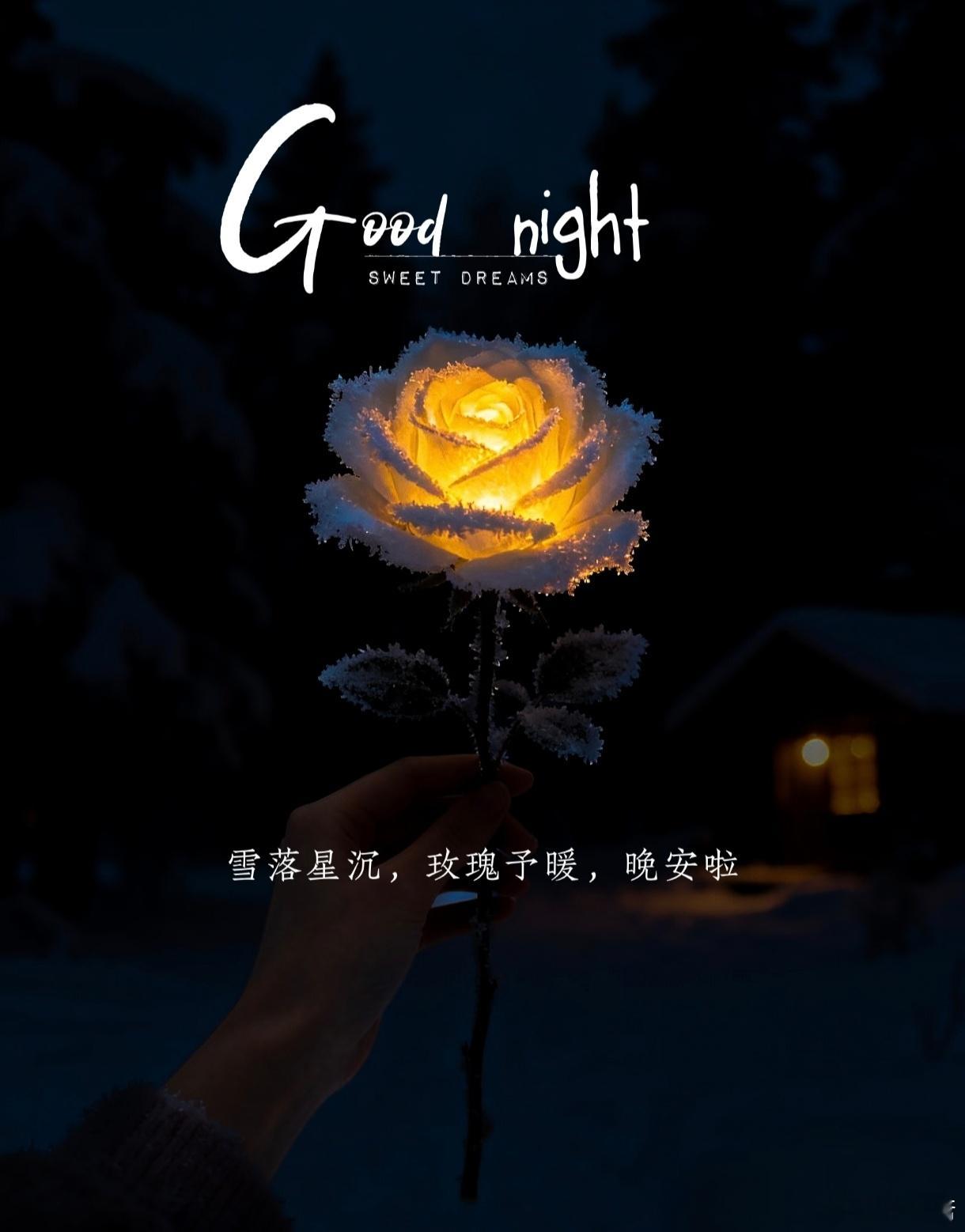 每一步坚持都是为了更舒展的自己，晚安，正在发光的你。 