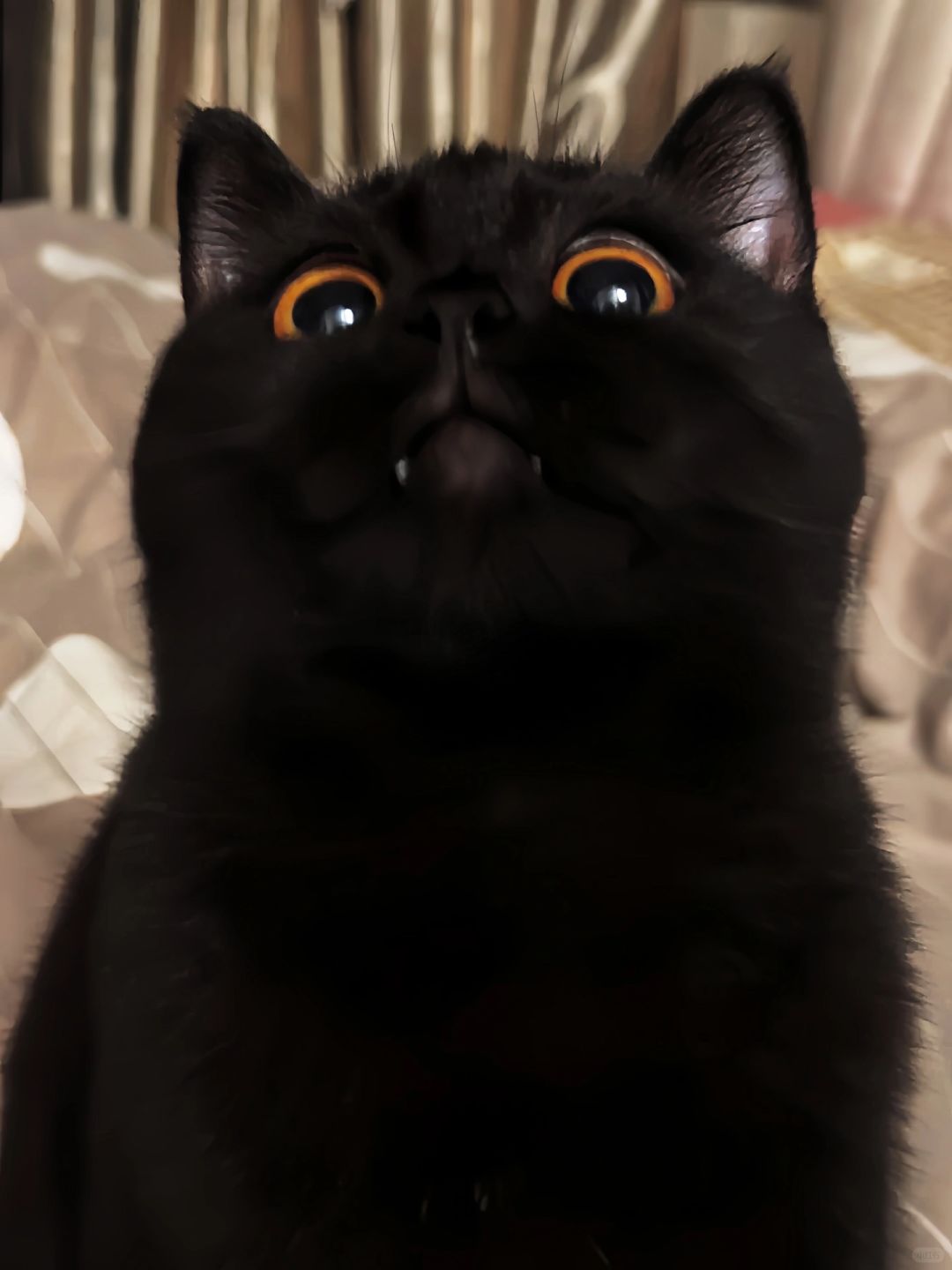 宝的秘密会是love me吗