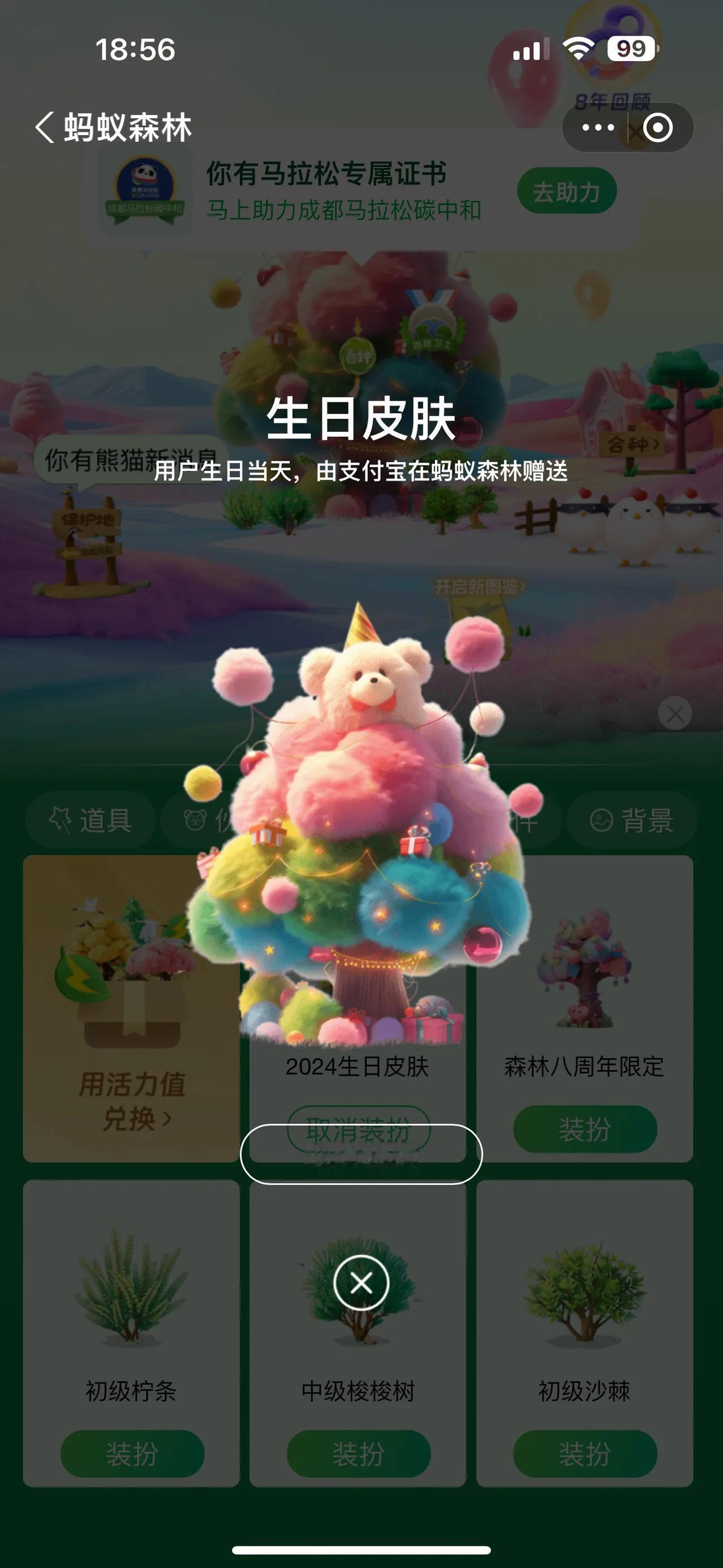 有小熊