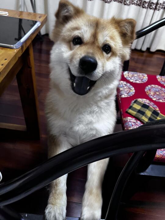 麻麻 和我玩