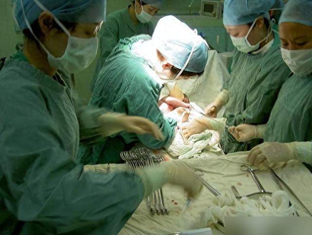 人类分娩为何像闯关地狱，直立行走撞上大脑袋，代价藏在哪。