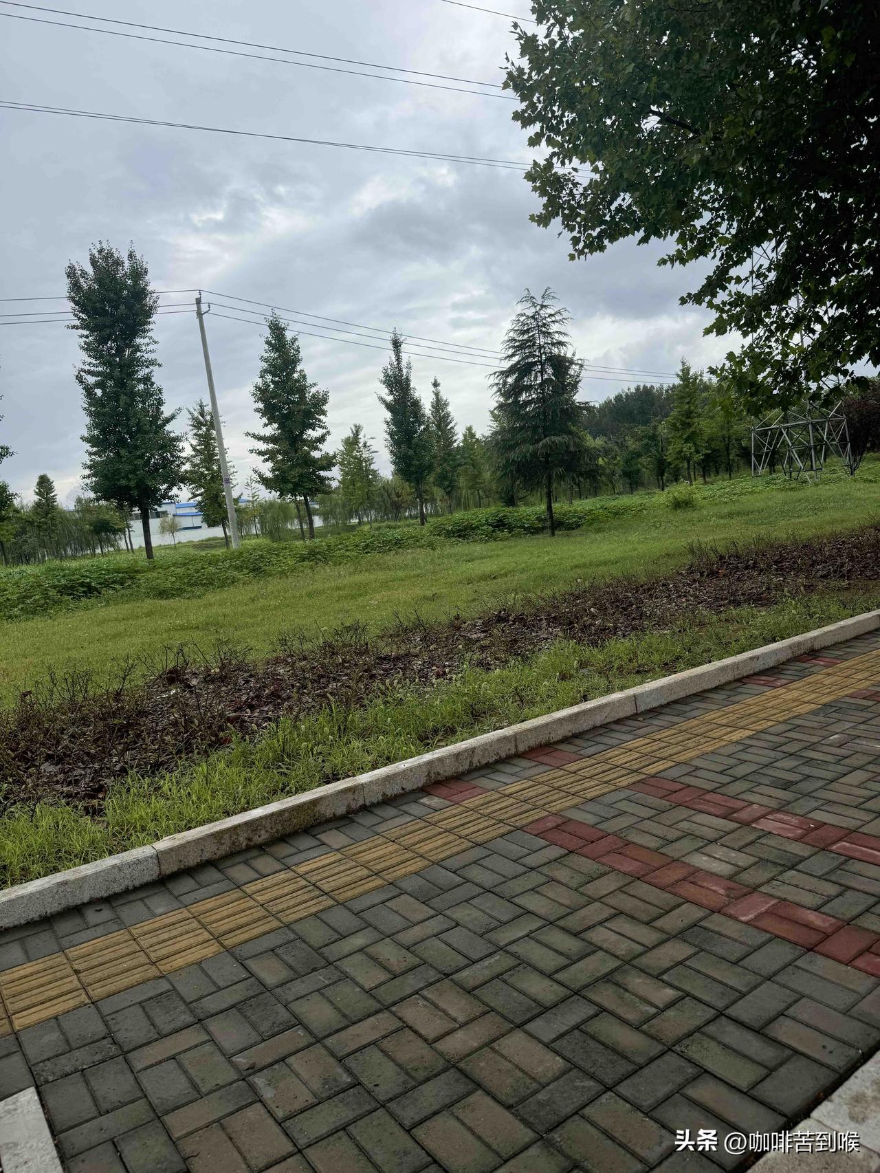 谁懂啊！

来头条后我忙到停不下来，

却超爽！

家人们，自从扎进头条，

我