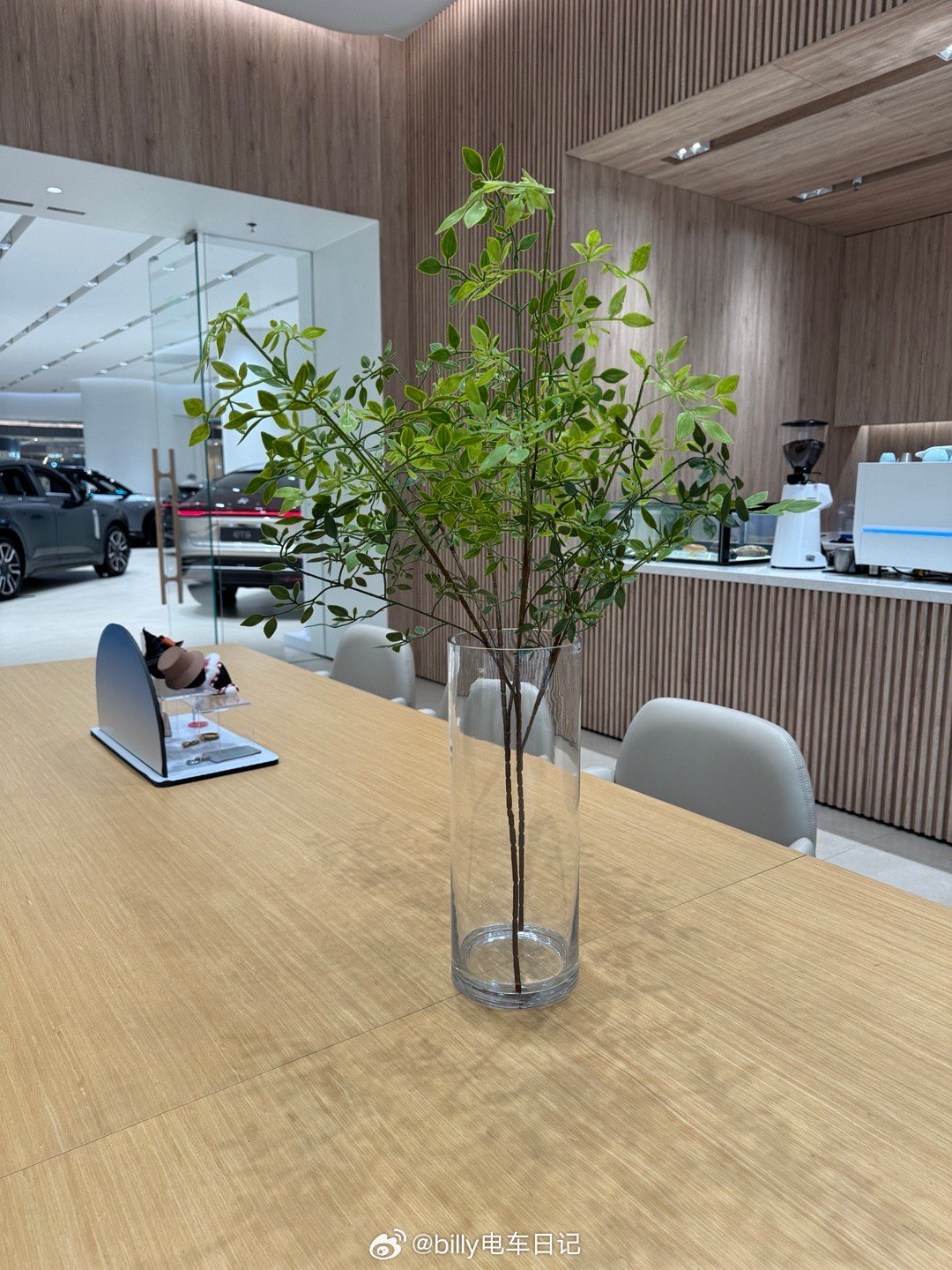 牛屋确实CBU了，这个植物我以前也在家里摆过，真的一支就要一百多。现在换成假的也