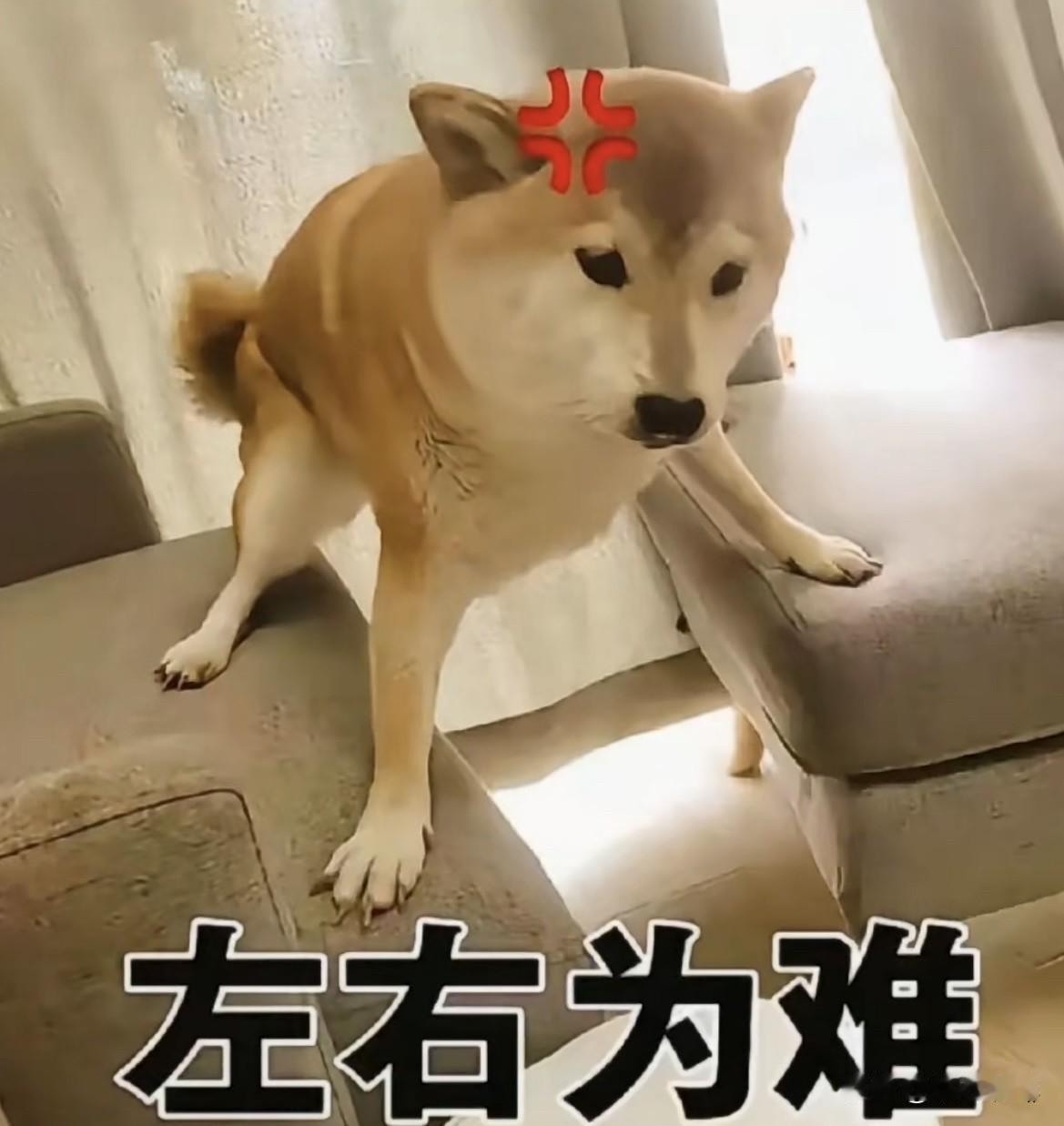上联：前前后后前后矛盾
下联：左左右右左右为难
