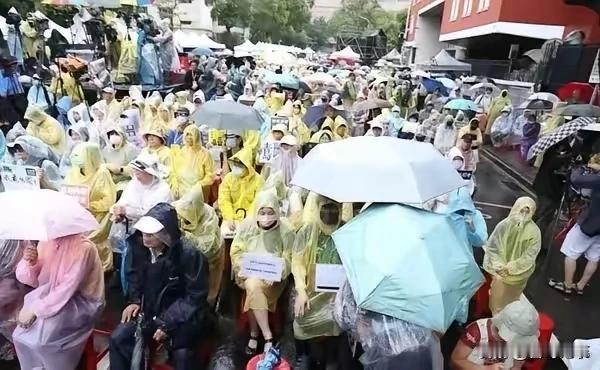 号称十万人，绿营民众冒着大雨在立院外集结，要么是没事瞎折腾，要么是被人鼓动了，不