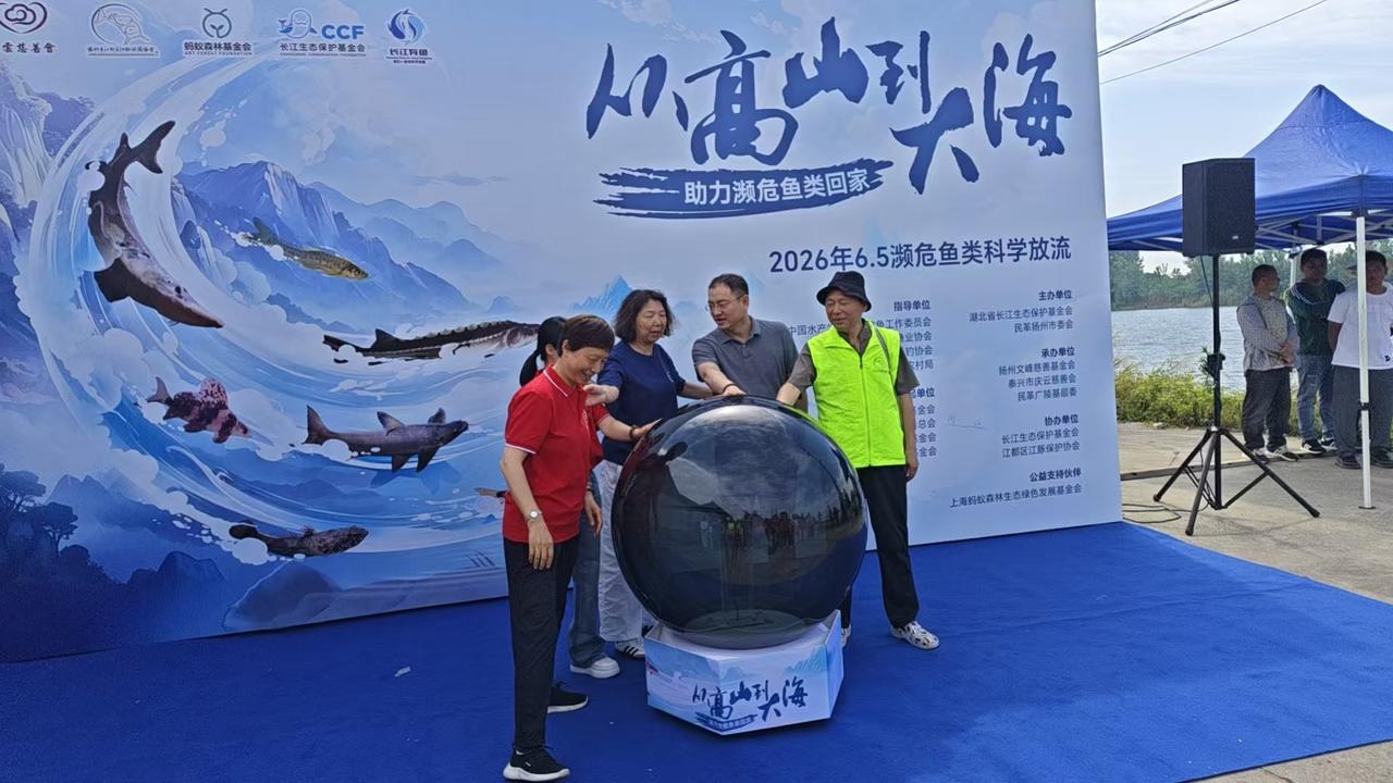 基层委，协办单位，长江生态保护基金会，扬州市江都区江豚保护协会。

扬州文峰慈善