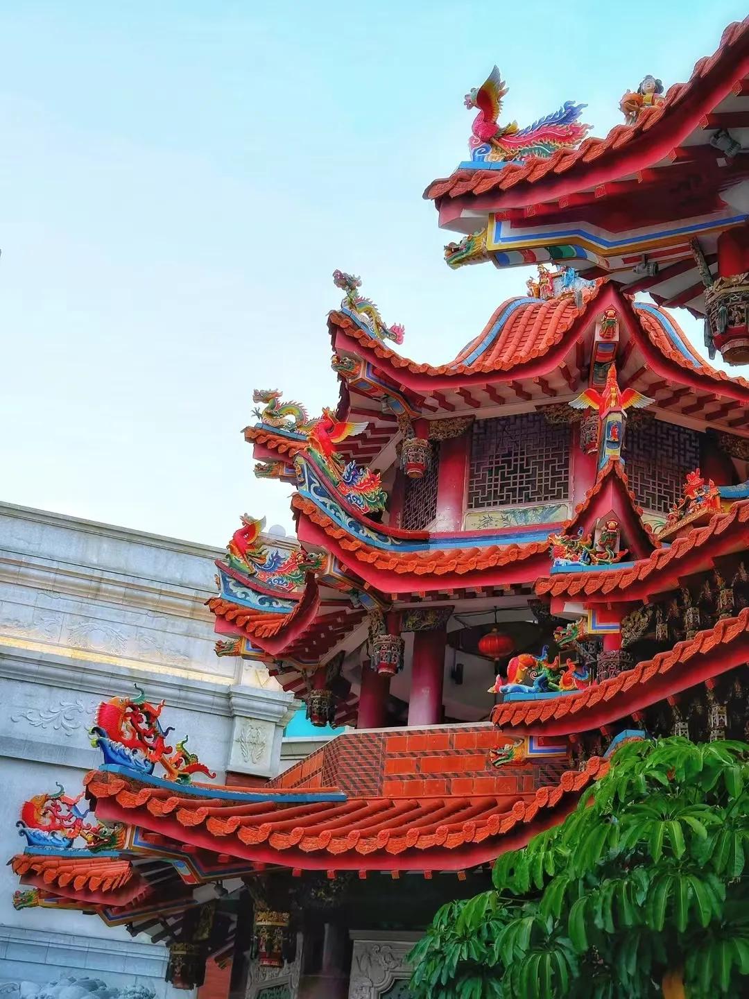 #秋日生活随记#
高崎机场附近飞机起飞落地超低空飞行
今天天气好
我也跟风去拍了