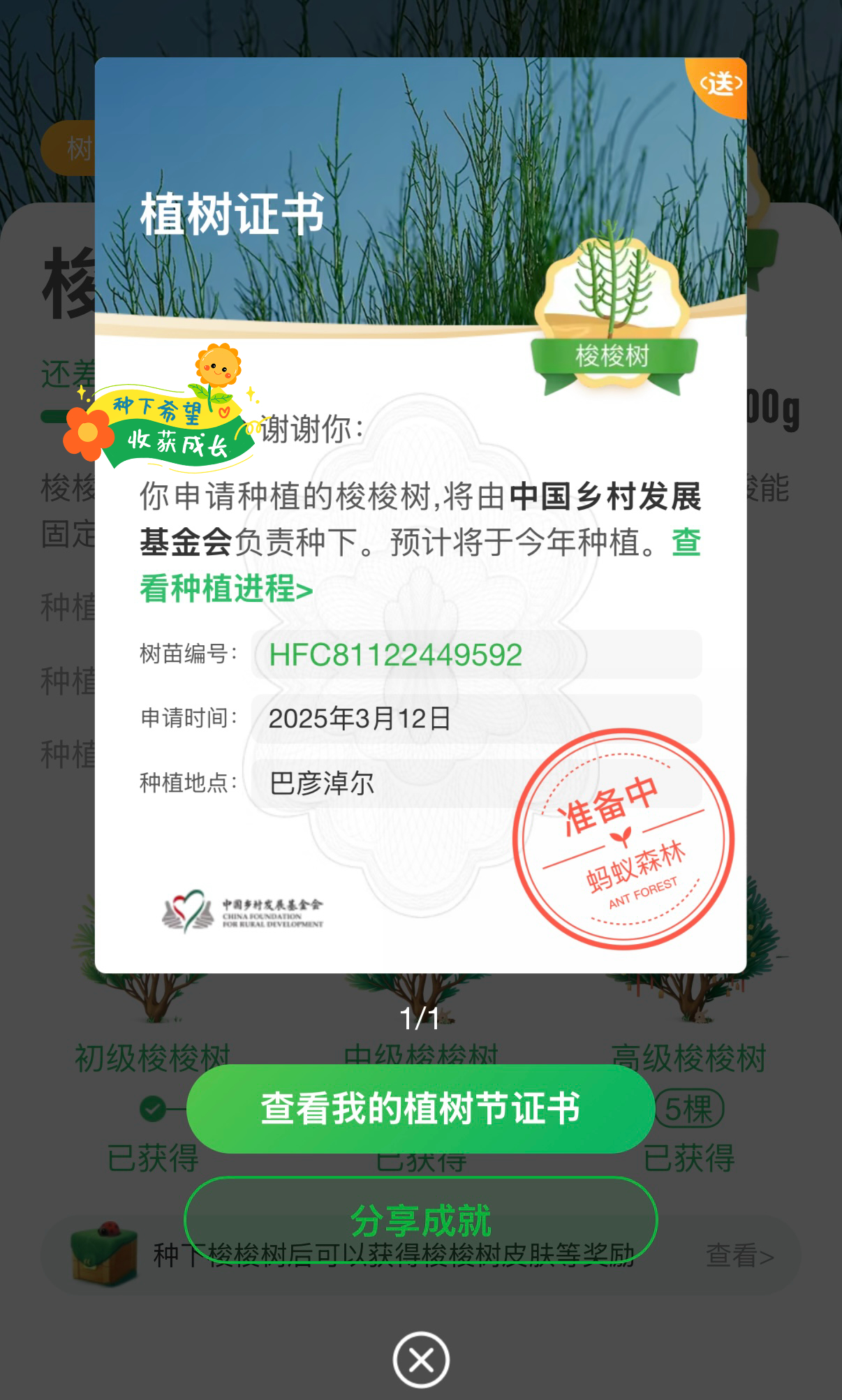 植树节 🌱种地吧 梭梭树🌳✅ ​​​