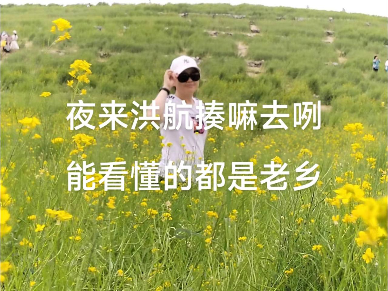 夜来洪航揍嘛去咧，能看懂的都是老乡方言土语 一本正经飚方言 方言版凑热闹 家乡