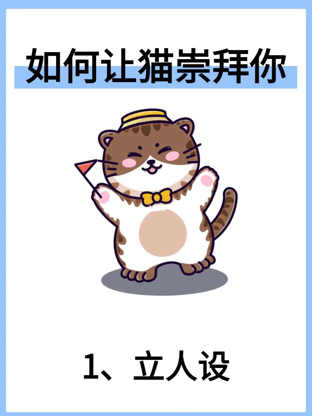 🐱让猫咪崇拜你的秘籍大公开
