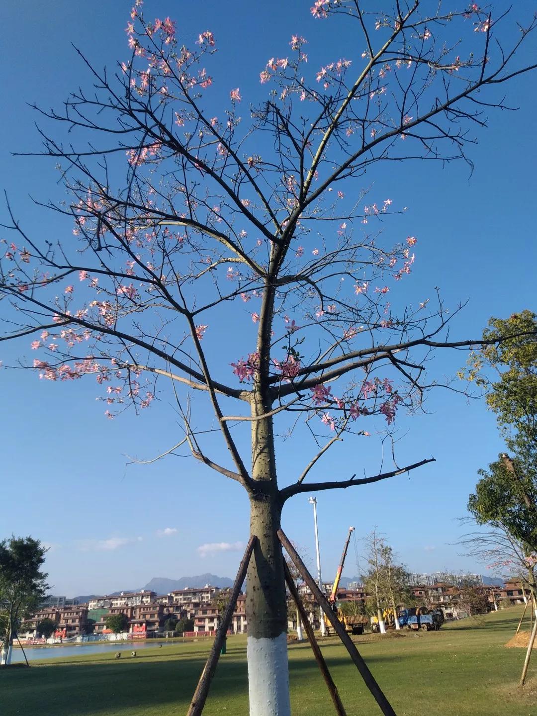 我认为不该。

别急着反驳，听我说完。我说的“不该”，不是把责任推给女人，而是指