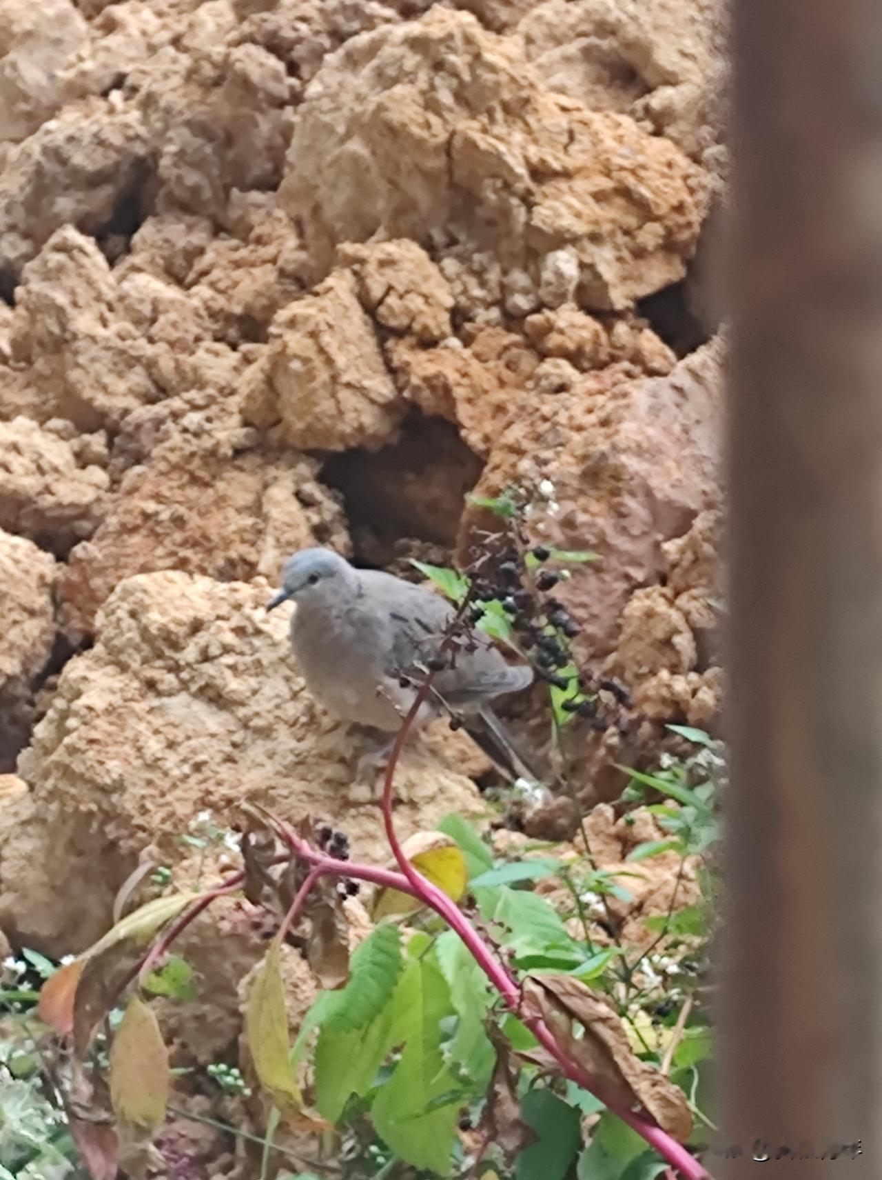 到了这个年纪，感觉离死亡越来越近了，虽然说这话不吉利，却是事实。

从理论上来讲