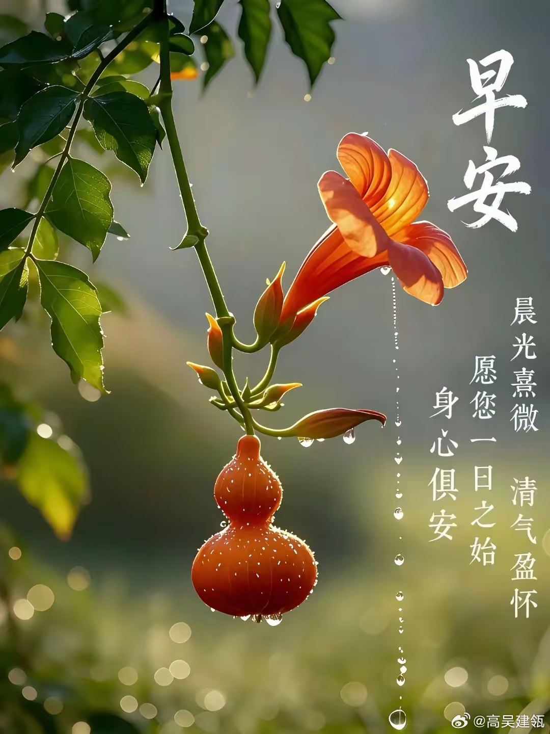 每天摸鱼打卡      美好的今天，带给你无尽的幸福和快乐；    清晨的问候，