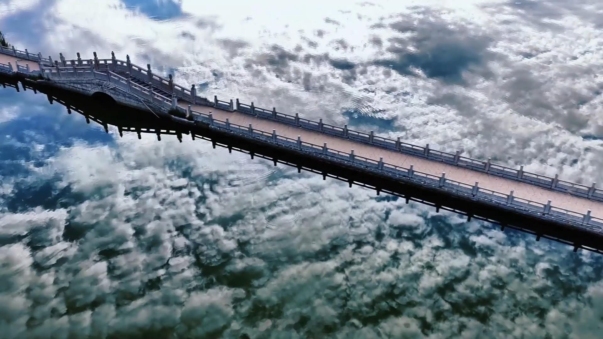 山东现水天一色美景 仲夏时节，济宁金乡县迎来了一年中最具诗意的时刻。奎星湖与金水