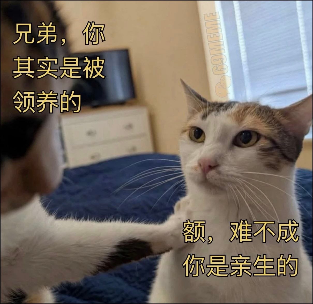 额 