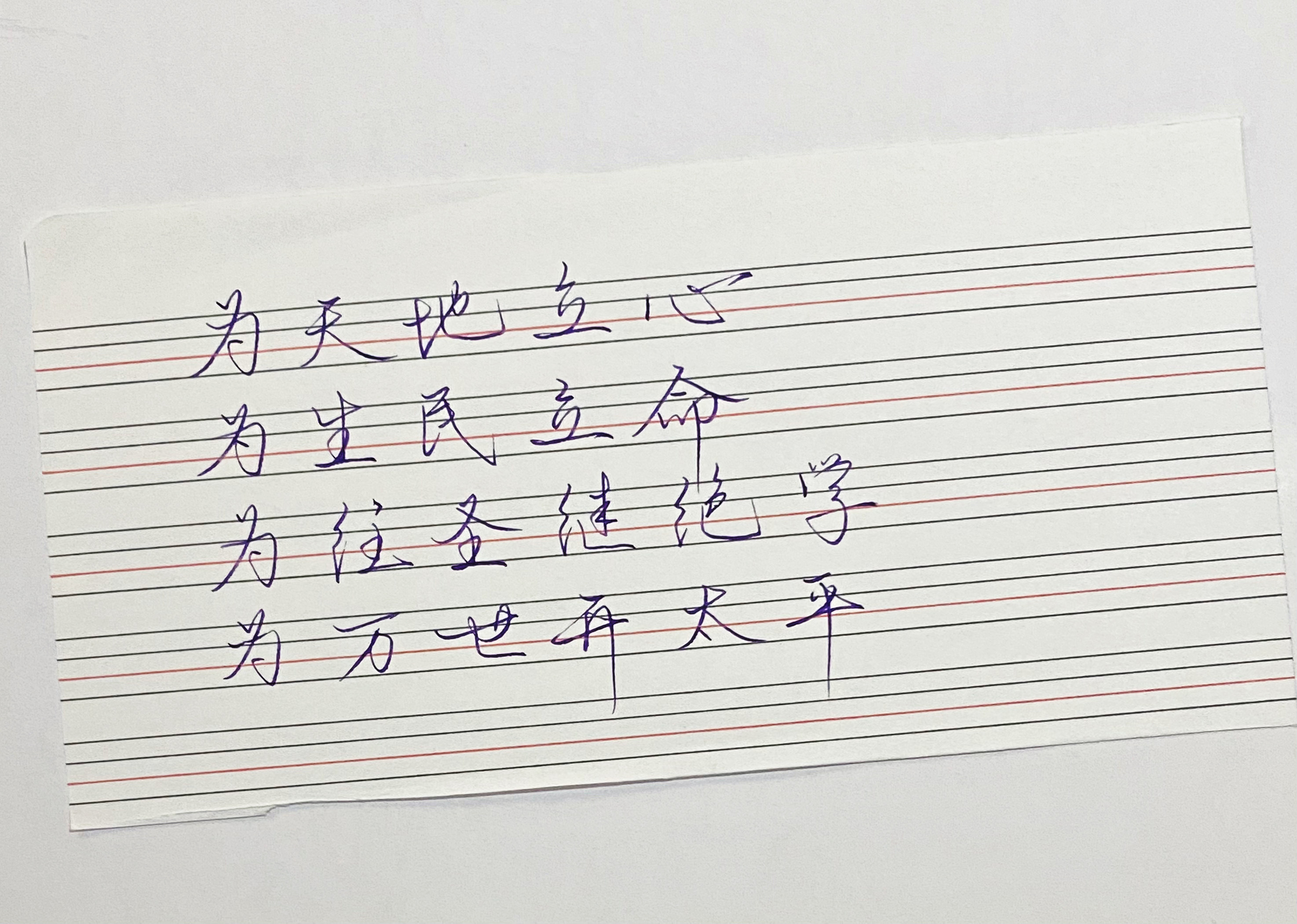 练字  为天地立心 