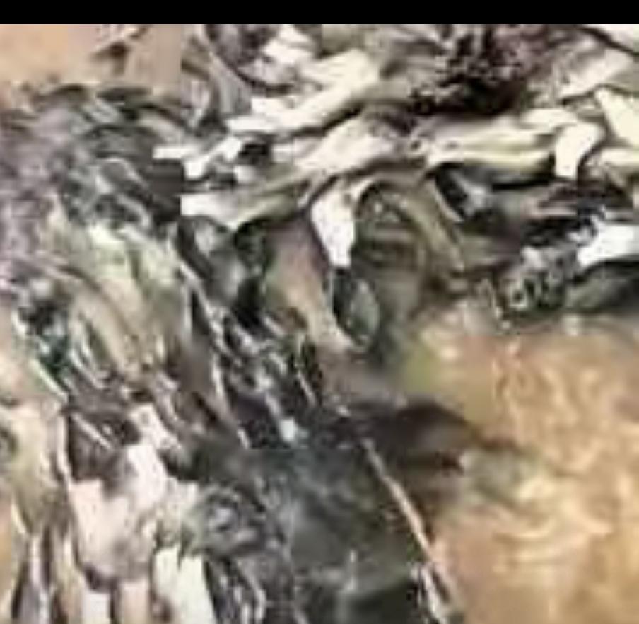 4月27日下午，贵州黔东南一个快见底的山潭边，一个中年女人赤脚踩进泥里，弯着腰，