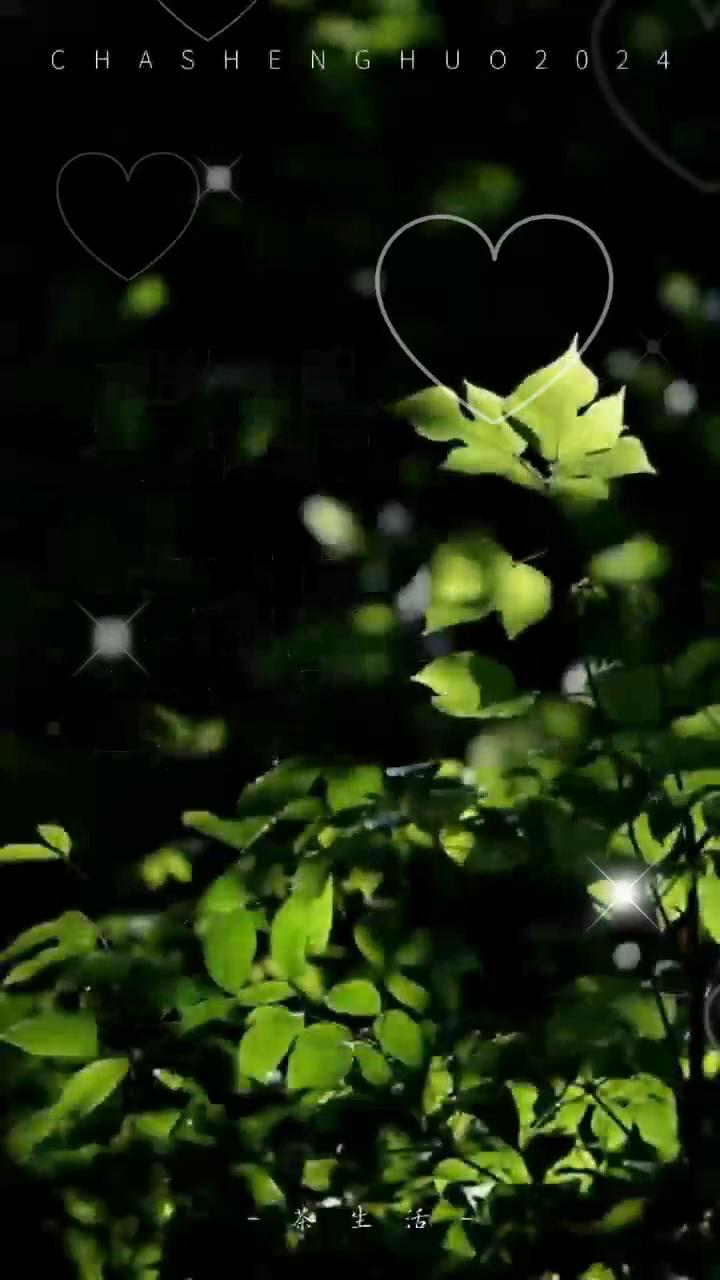 磁场。
人的磁场至关重要，你若心怀感恩，生活便会回馈你顺利；你若慷慨付出，自会收