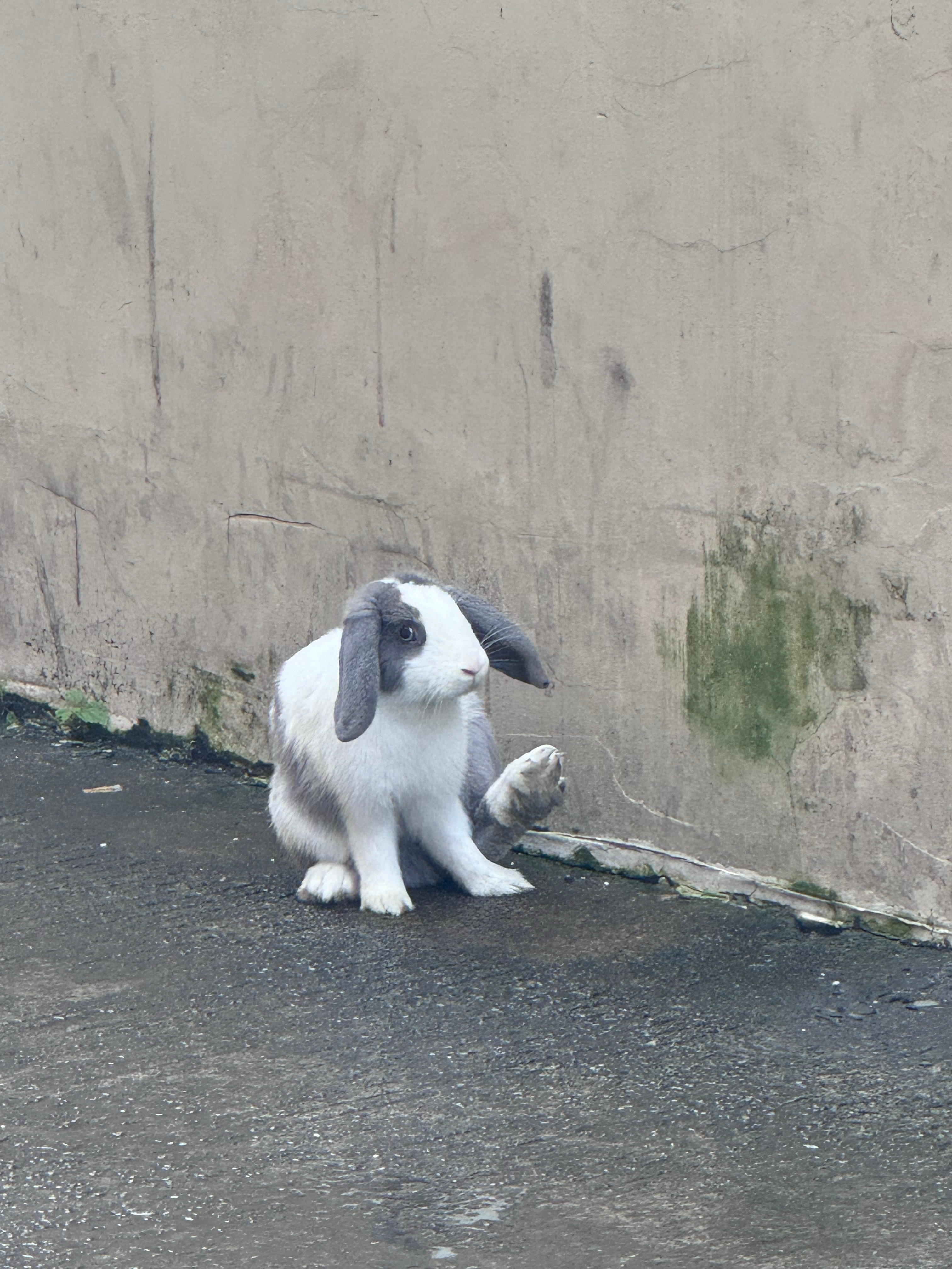 偶遇穆祉丞 ​​​