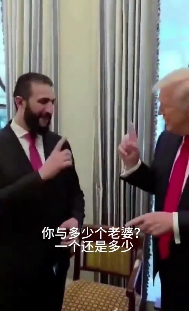 特朗普会见叙利亚临时总统艾哈迈德·沙拉

特朗普：你有几个老婆？

沙拉：1个