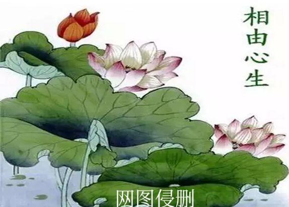 相由心生是真的吗？
看了许多某争议群体的人，大多数都有以下特征，大致分为三类：