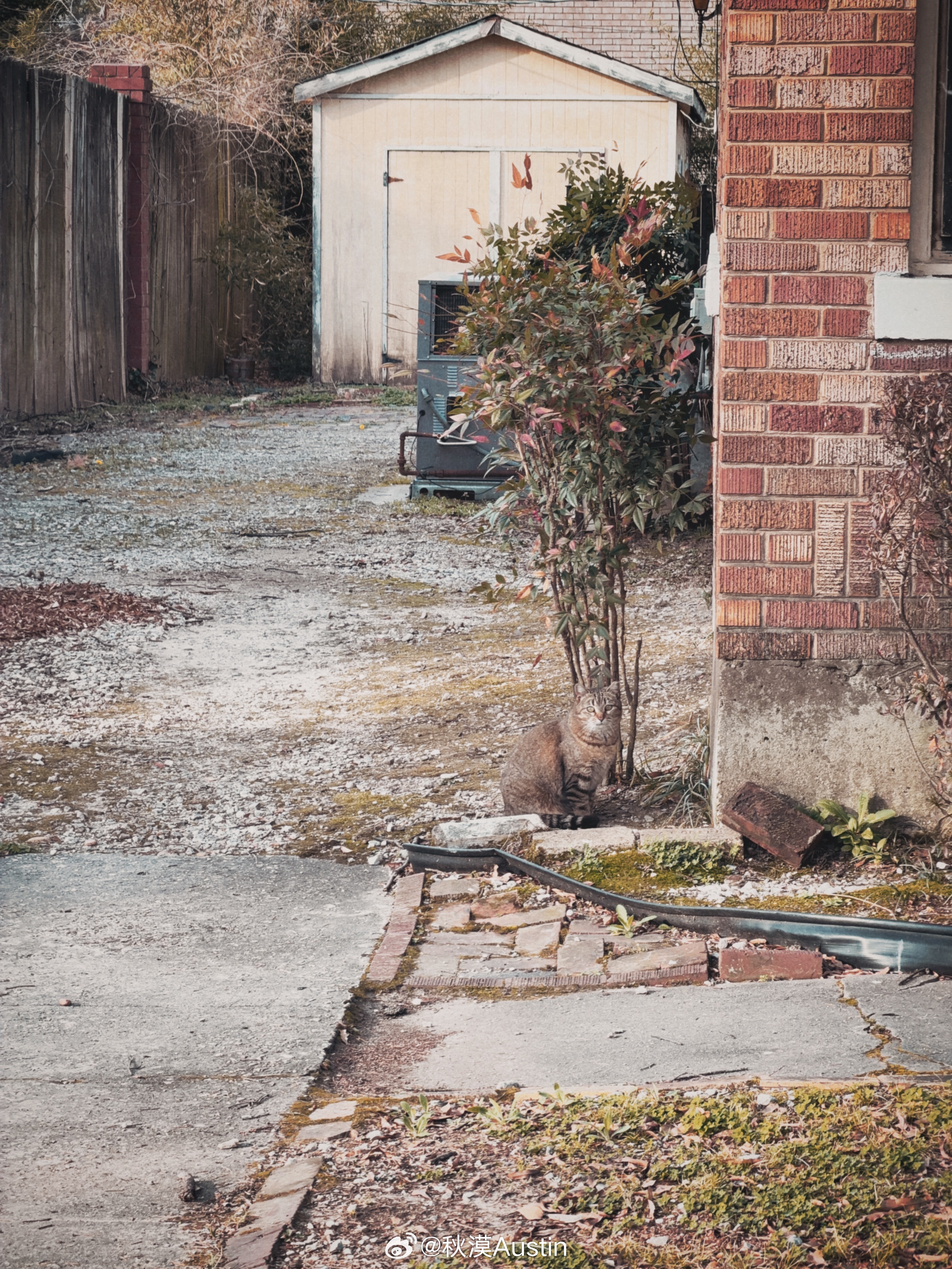 你也听到春天临近的脚步声了对么 美国·孟菲斯