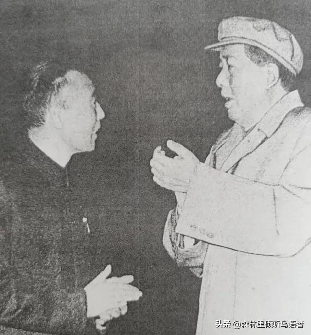 1953年2月，毛主席乘船沿长江抵达南京，此行核心行程包含拜谒中山陵。走完层层石