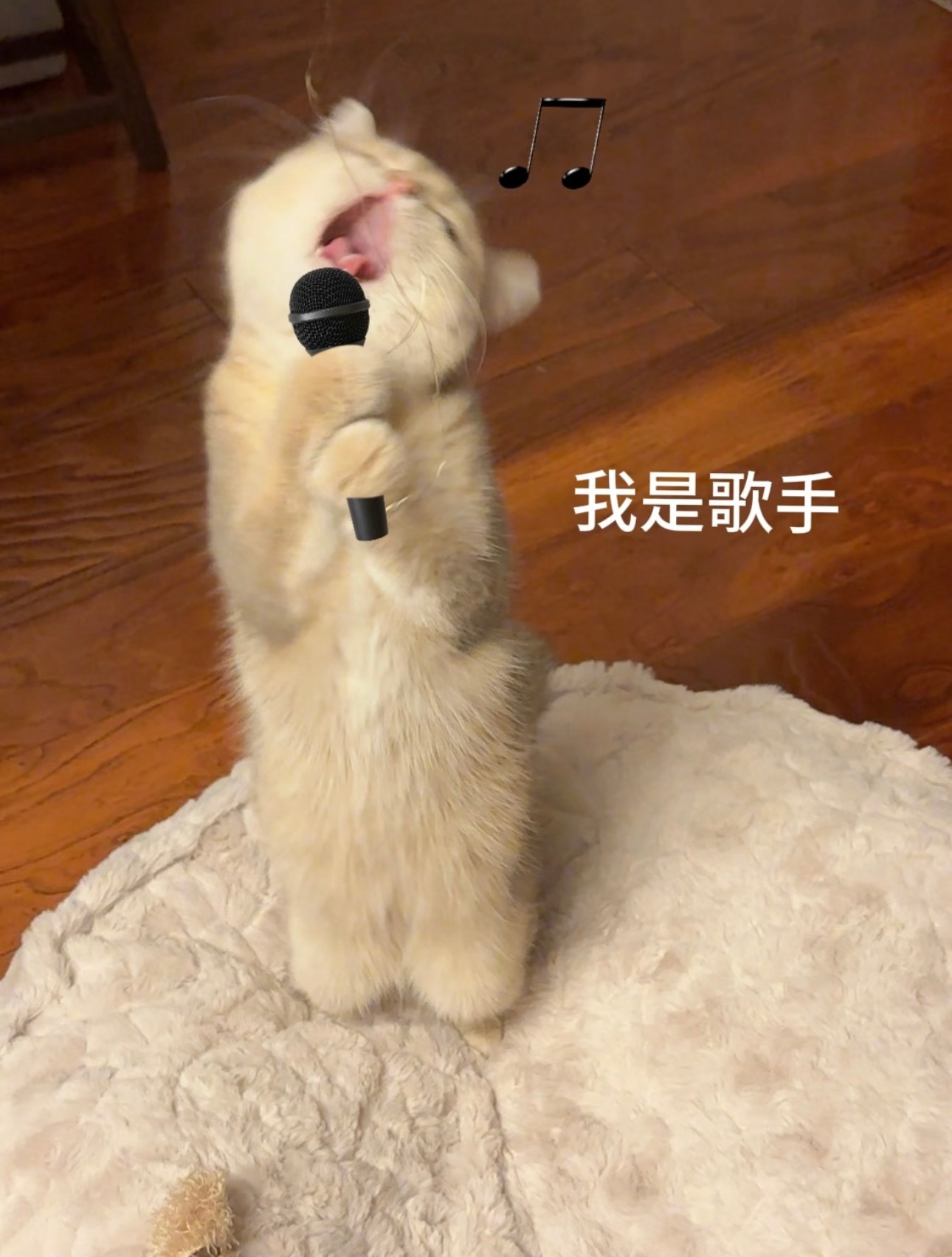 🥺 ​​​