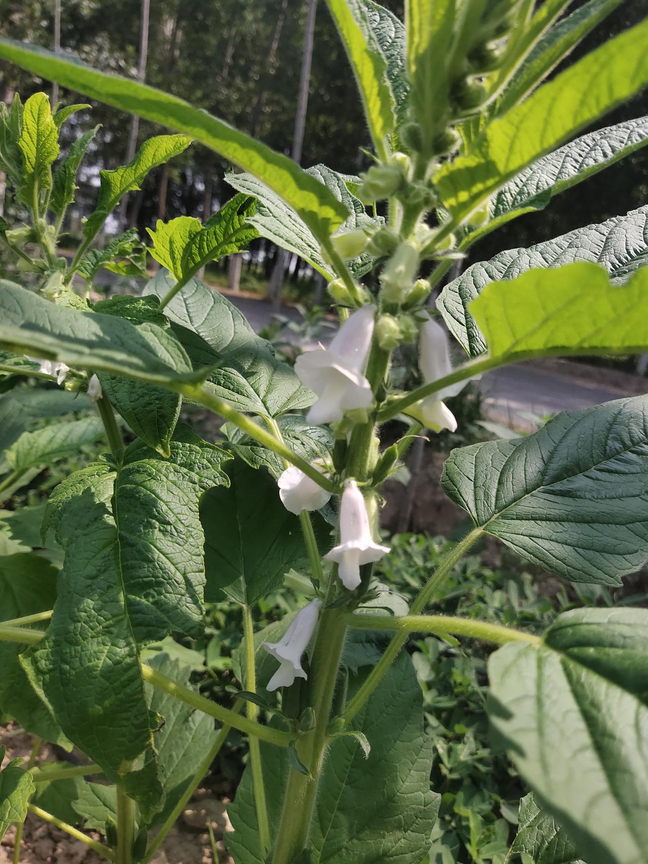 地震发生时，我第一个想到的就是孩子。之前有次小地震，当时晃得我心都提到嗓子眼了，