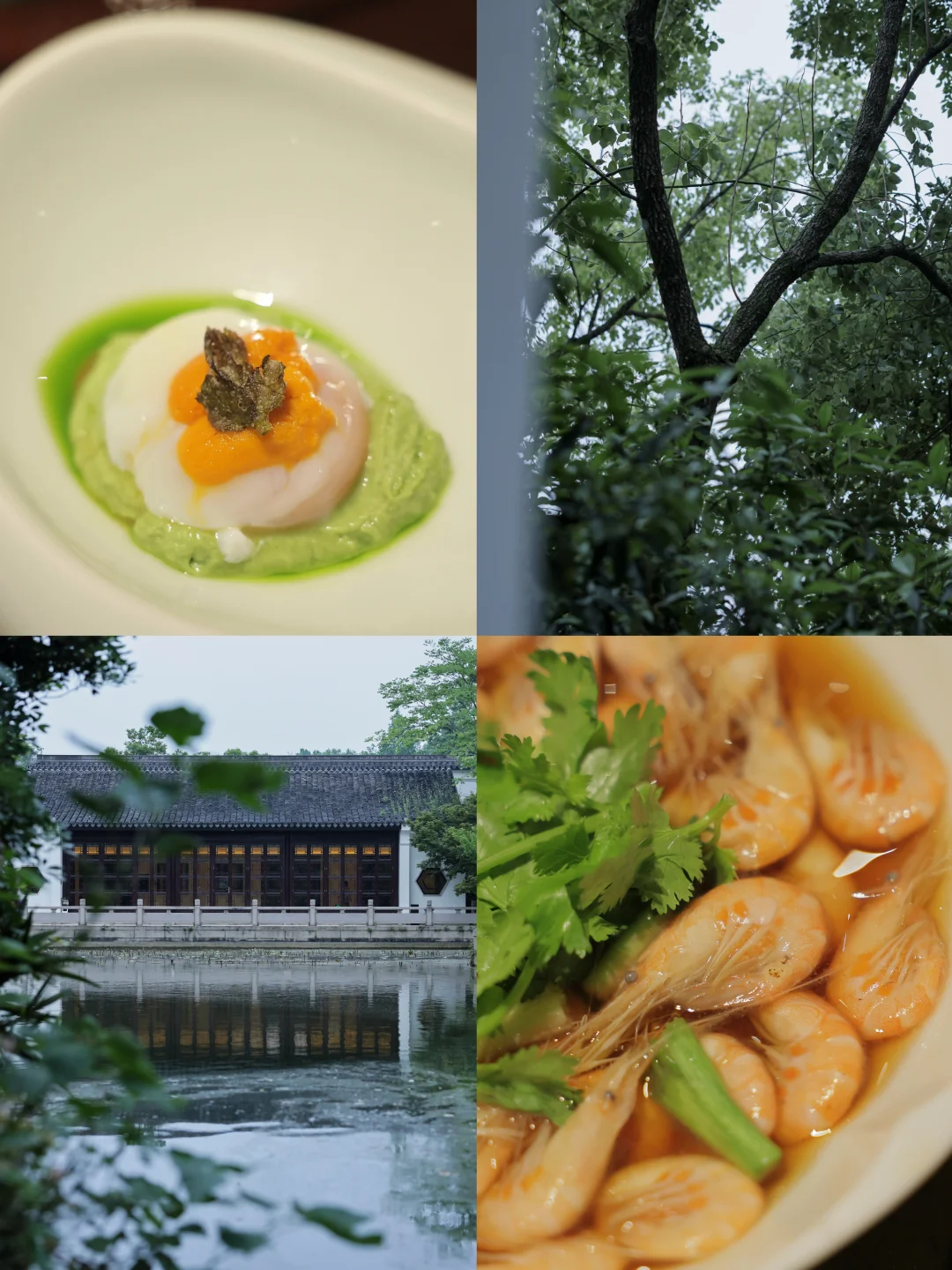 春天的西湖和金沙厅🌊总有一些灵气在的🍃