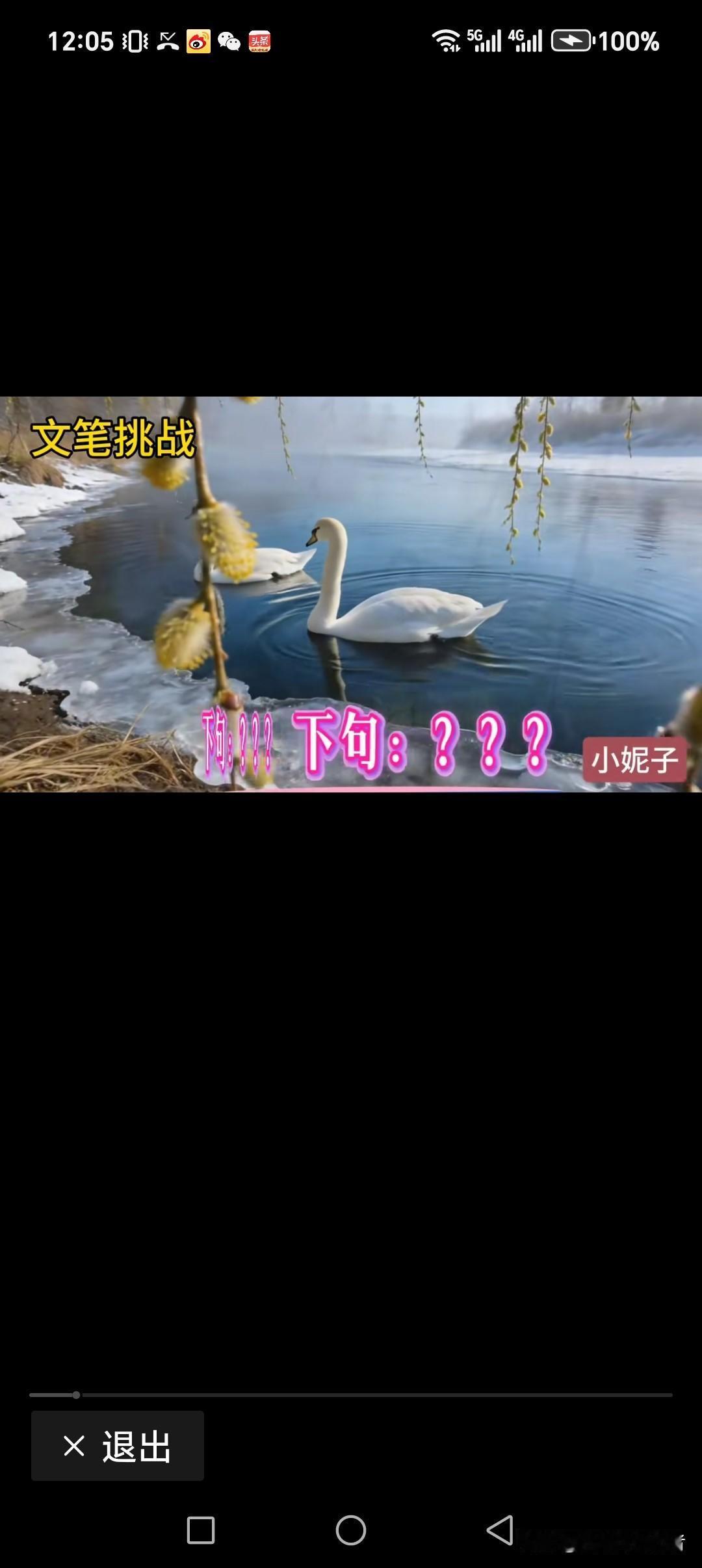 冰融雪化春风到
鸭鹅戏耍温度来