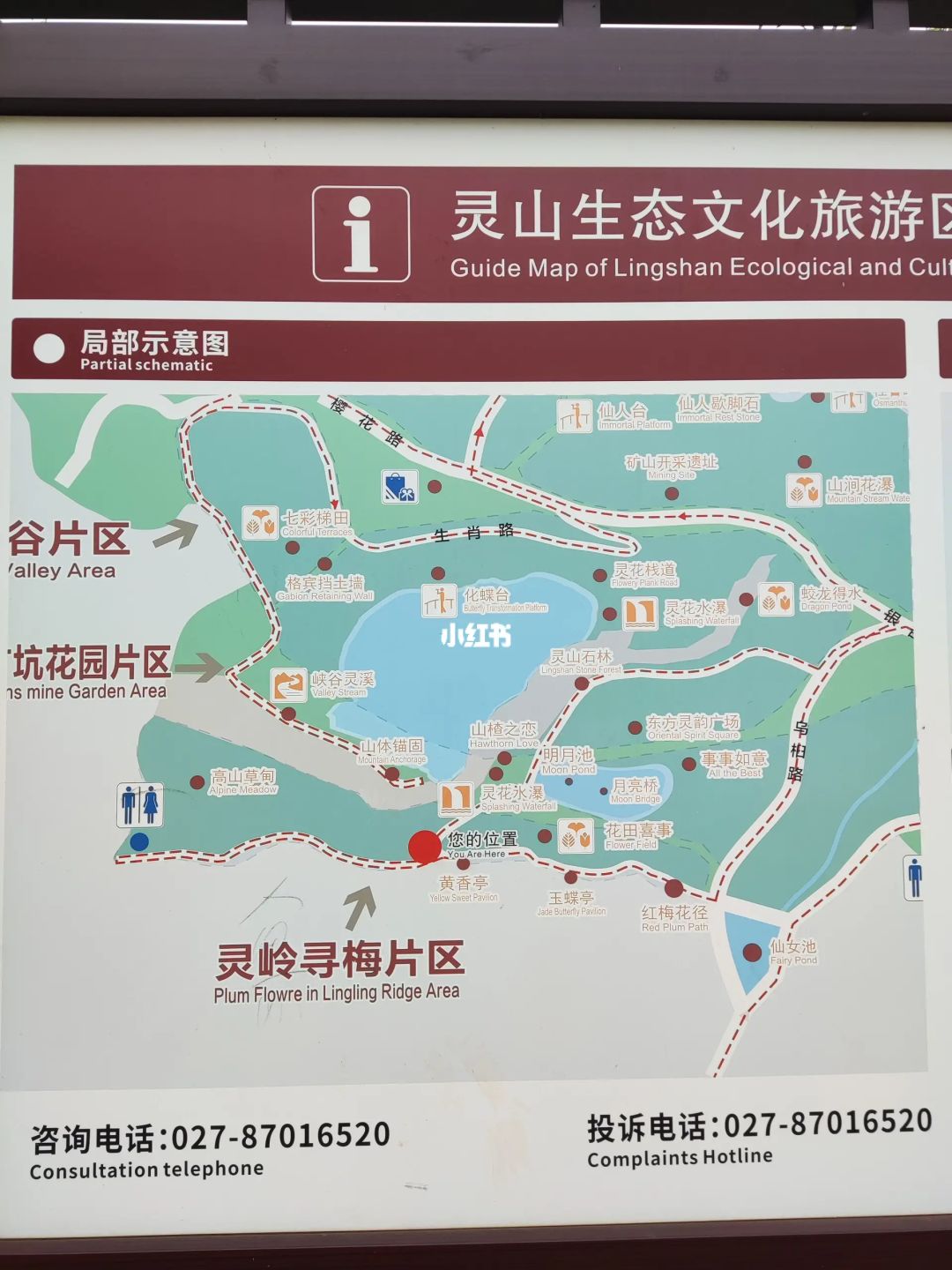 武汉小新西兰别太美，灵山游玩攻略有（live图
