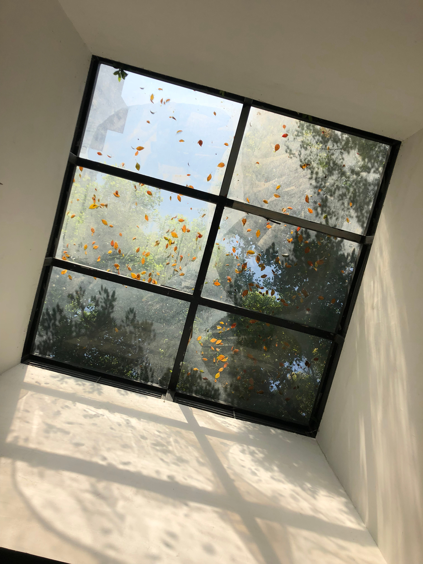 夏天作的画 