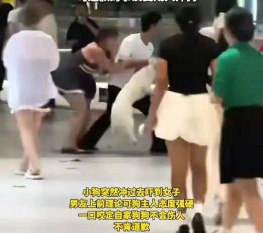 女子商场遛狗不拴绳，遭男子摔狗、扇耳光。

7月17日，湖南长沙，一名女子带着小