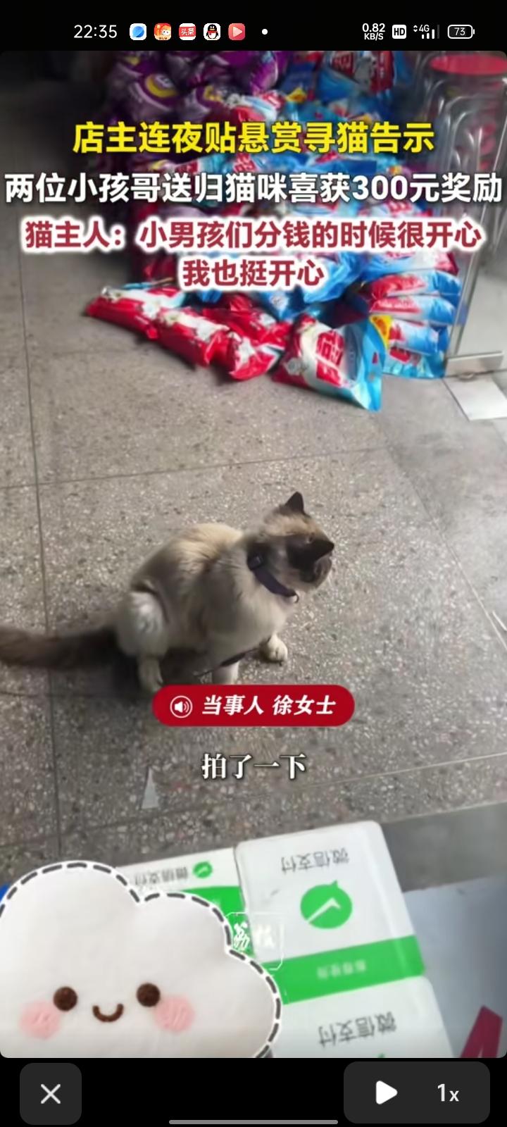 4月6日，衢州江山市。店主徐女士成，自家猫丢失了，连夜贴悬赏寻猫告示，结果有位小